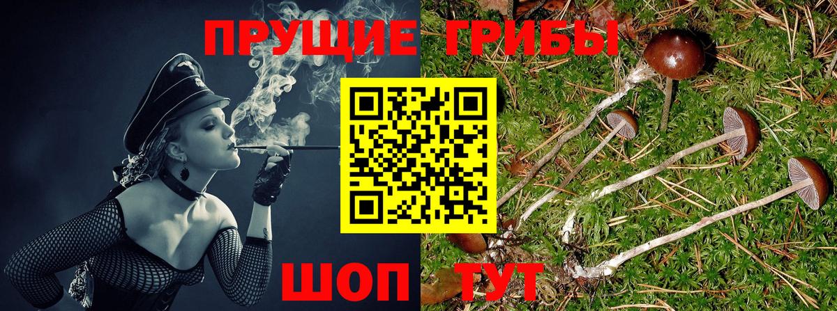 Псилоцибиновые грибы MAGIC MUSHROOMS  Вход с VPN  Нефтеюганск  Галлюциногенные грибы прущие грибы 